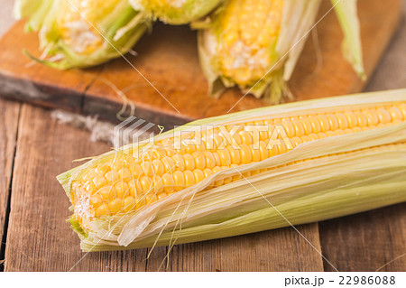 Grains of ripe corn Grains of ripe corn 22986088