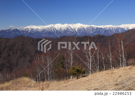 冬の大鹿より中央アルプスを望む 冬の大鹿より中央アルプスを望む 22986253