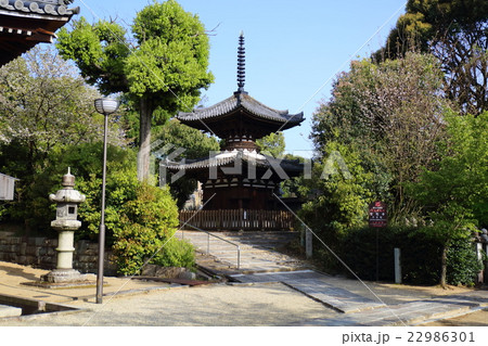 京都 宝塔寺 多宝塔 22986301