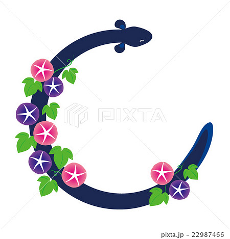 フレーム素材-うなぎ,朝顔 22987466