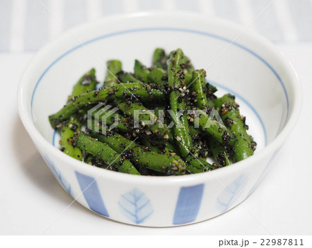 いんげんの胡麻和え いんげんの胡麻和え 22987811