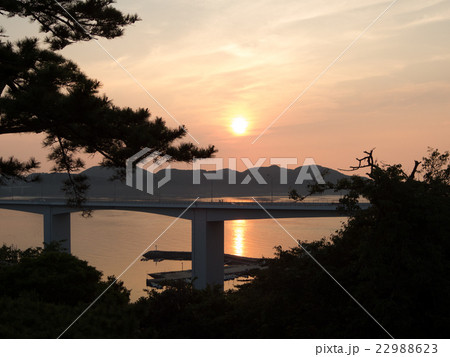 夕暮れ。お茶園展望台から亀浦港をのぞむ。 22988623