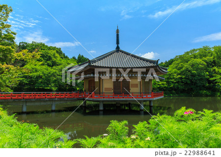 安倍文殊院 22988641