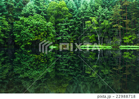 新緑の御射鹿池の写真素材 [22988718] - PIXTA