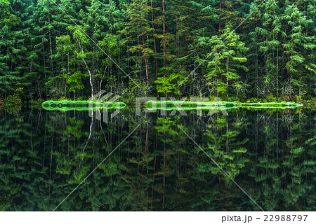 新緑の御射鹿池 新緑の御射鹿池 22988797