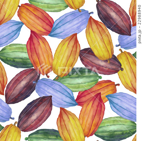 Watercolor cocoa fruit pattern 22988940