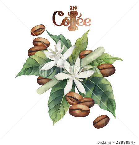 Watercolor Coffee Vignetteのイラスト素材