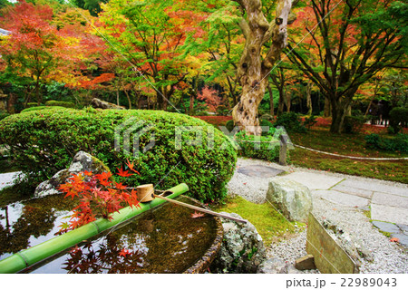 Water dipper at Enkoji Temple, Kyoto Water dipper at Enkoji Temple, Kyoto 22989043
