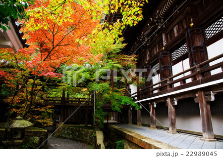Eikando temple building with fall garden in Kyoto Eikando temple building with fall garden in Kyoto 22989045