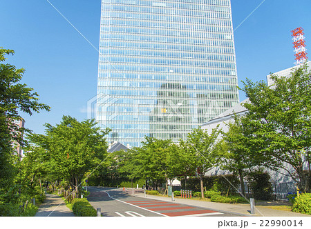 赤坂にあるさくら坂と赤坂Bizタワー（東京都港区） 22990014
