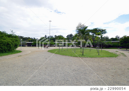 ブラジル　サンパウロ　イビラプエラ公園 22990054