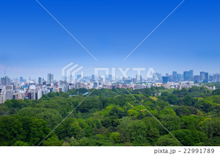 都会と緑 都会と緑 22991789