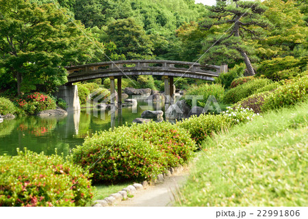大仙公園 日本庭園 大仙公園 日本庭園 22991806