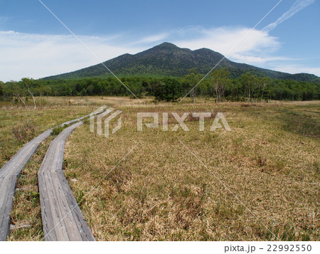 初夏の尾瀬ヶ原 初夏の尾瀬ヶ原 22992550