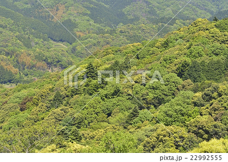 月山富田城跡(山頂からの眺望) 月山富田城跡(山頂からの眺望) 22992555