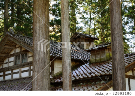 杉林に囲まれた旧家 屋根 杉林に囲まれた旧家 屋根 22993190