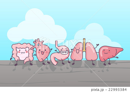 cute cartoon organs sit together 22993384