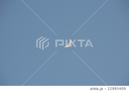 半月（東京都調布市） 22993409