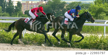 Horse racing 22993797