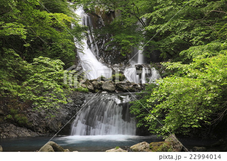 初夏の木曽御嶽　秘境油木美林こもれびの滝　絶景　 22994014