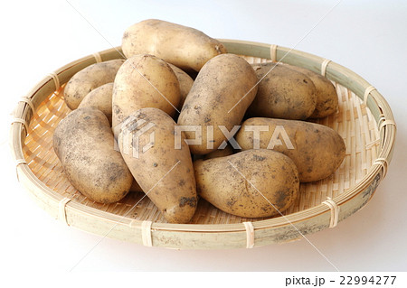 新ジャガイモ 22994277