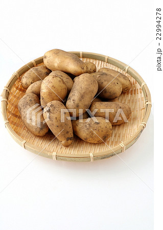 新ジャガイモ 22994278