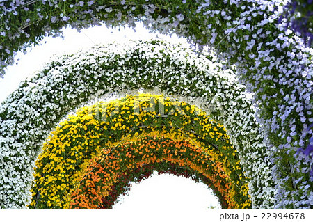ラグーナテンボス フラワーラグーン 花のアーチ 半円の写真素材