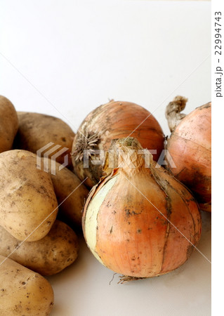 新タマネギと新ジャガイモ 22994743