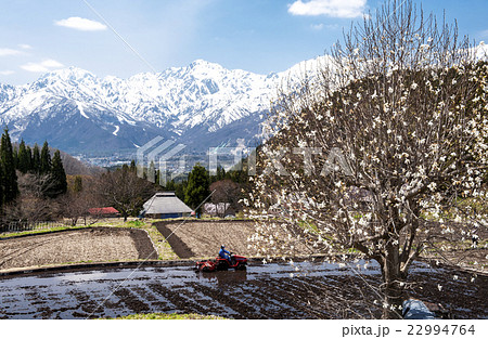 田植え前の青鬼集落 田植え前の青鬼集落 22994764