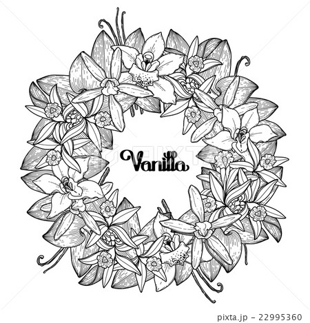 Graphic vanilla wreath 22995360
