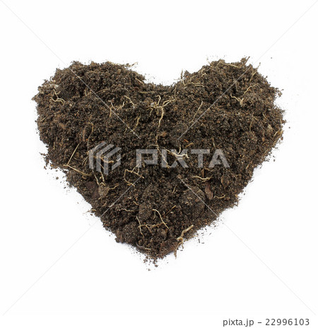 Heart-Shape Soil Isolated on white background. 22996103