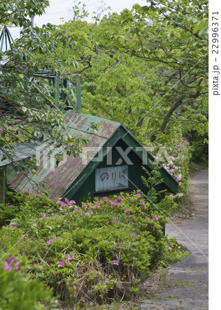 廃墟(リフト乗り場) 廃墟(リフト乗り場) 22996371