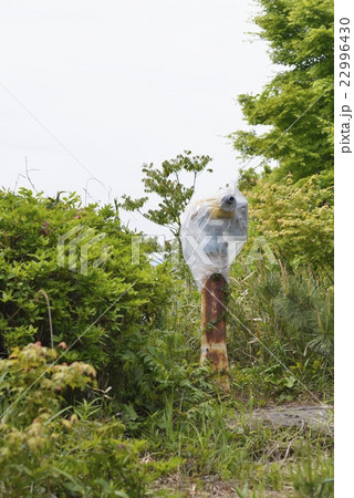 廃墟（廃業） 22996430