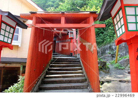 太鼓谷稲荷神社の鳥居　津和野　島根県 22996469