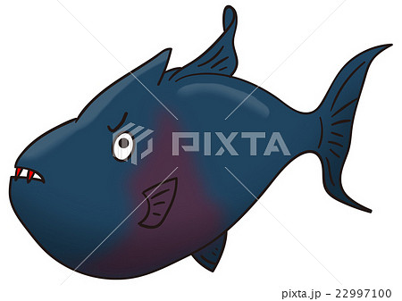 魚のイラスト　アカモンガラ 22997100