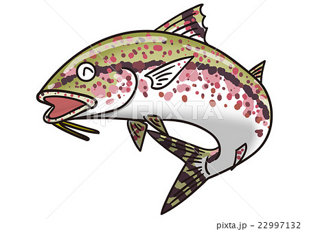 魚のイラスト　ヨメヒメジ 22997132