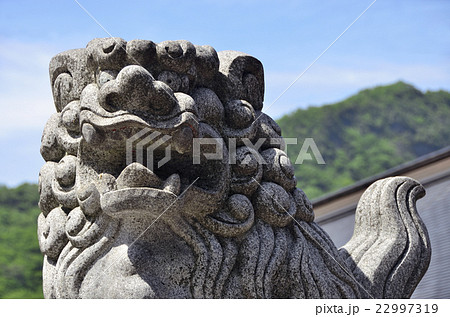 赤城神社の狛犬(阿) 赤城神社の狛犬(阿) 22997319