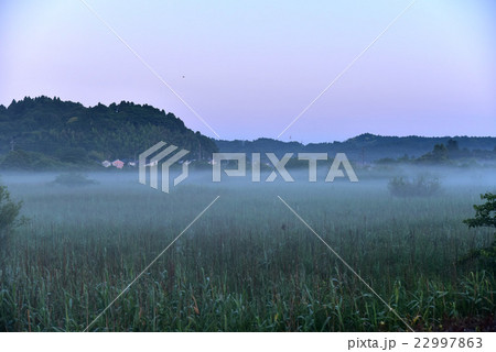 【千葉県/いすみ市/大原】　6月の早朝、靄のある風景 22997863