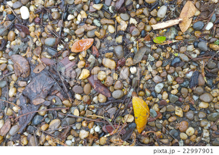 Gravel and pebble in mixed colour 22997901