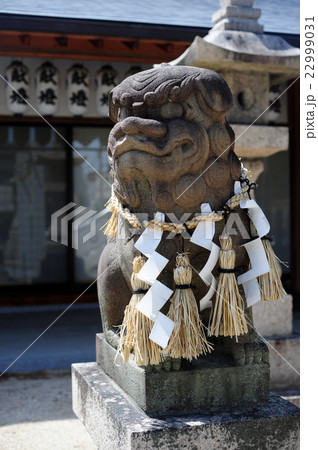 伊居太神社の狛犬-1 22999031