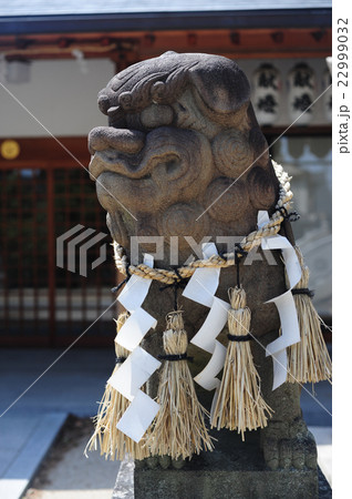 伊居太神社の狛犬-2 22999032