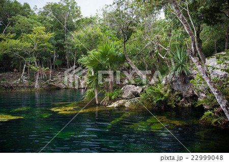 Cenote with pure water, Mexico 22999048