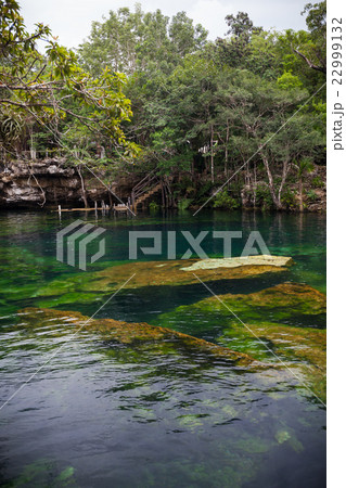 Cenote with pure water, Mexico Cenote with pure water, Mexico 22999132