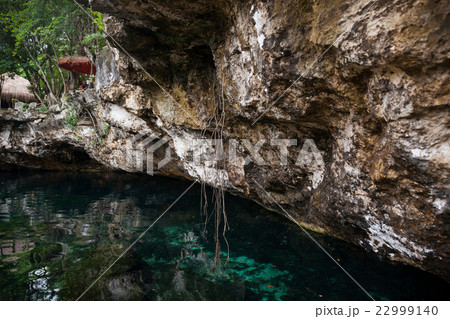 Cenote with pure water, Mexico Cenote with pure water, Mexico 22999140