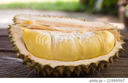 fruit fruit 22999567