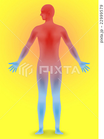 人体モデルと熱中症　イメージイラスト 22999579