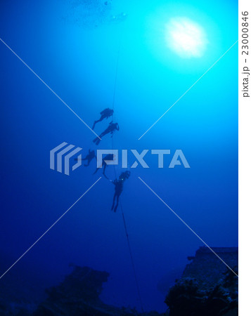 沈船ダイビング 23000846