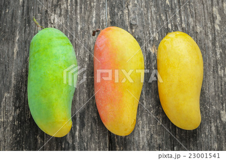 Different size of Mangoes on old wooden table 23001541