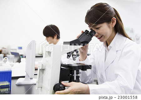 研究　サイエンス　科学　顕微鏡　実験　科学者　化学者 23001558