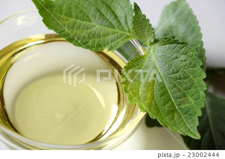 エゴマ油 エゴマ油 23002444